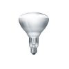 Lampe chauffante de rechange - 250 Watt - Blanc