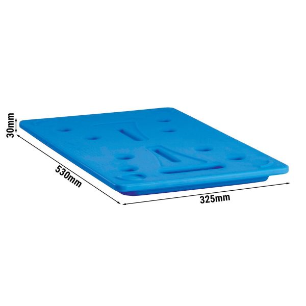 CAMBRO | CAMCHILLER - plaque de refroidissement - compatible avec toutes les CAM GOBOXEN® GN 1/1 - Bleu