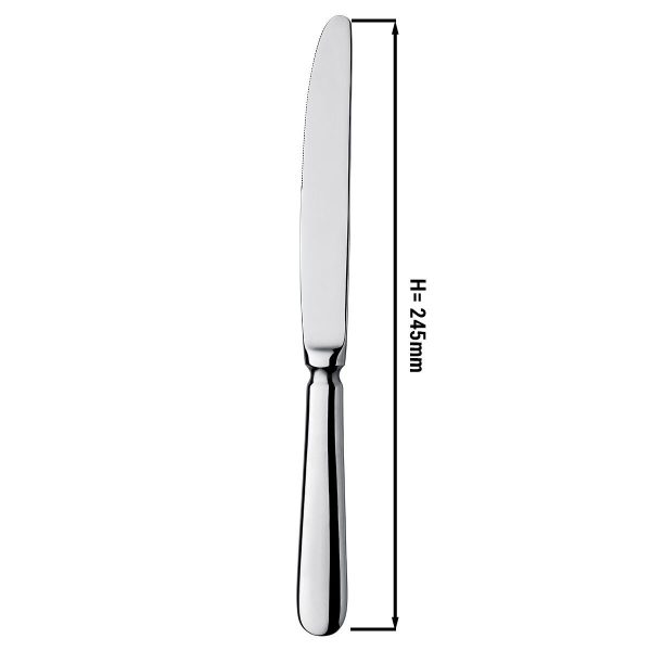 (12 pièces) Couteau de cuisine Milo - 24,5 cm