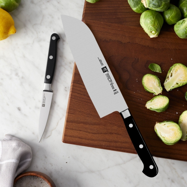 ZWILLING | PROFESSIONAL S - Ensemble de couteaux - 2 pièces