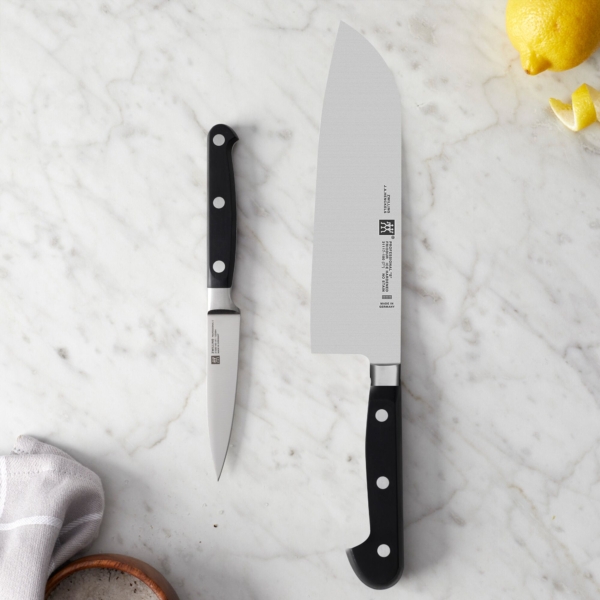 ZWILLING | PROFESSIONAL S - Ensemble de couteaux - 2 pièces