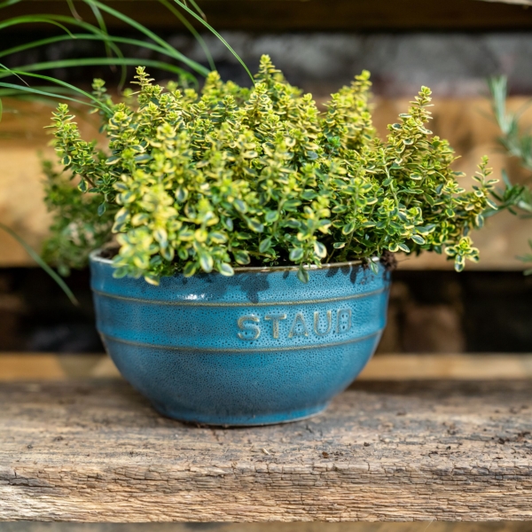 STAUB | CERAMIQUE - Ensemble de bols, 4 pièces - Ø 140 mm - Céramique - Turquoise antique