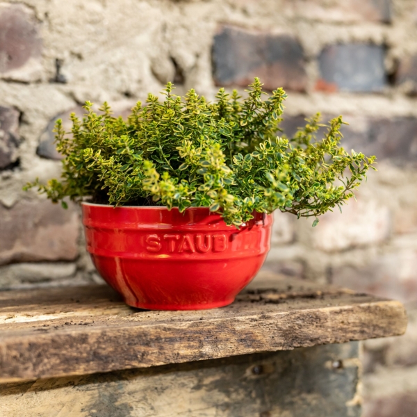 STAUB | CERAMIQUE - Bol - Ø 140mm - Céramique - Rouge cerise