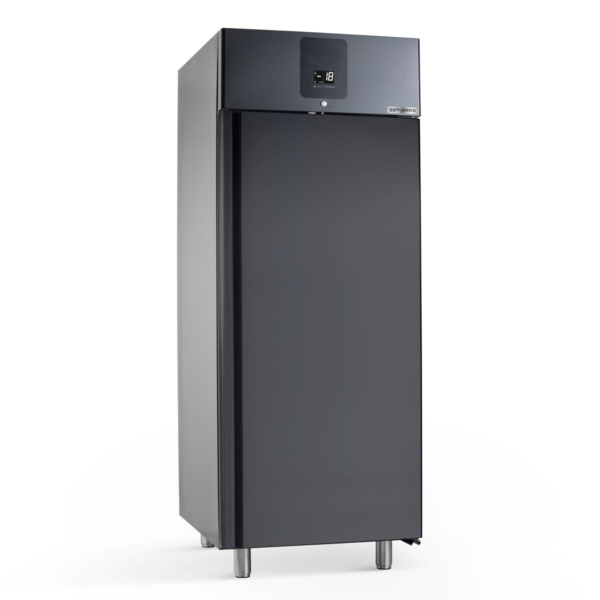 Congélateur à glace en acier inoxydable PREMIUM PLUS - 745x870 mm - 650 Litres - avec 1 porte