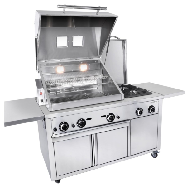 Unité de gril - Cuisine BBQ professionnelle