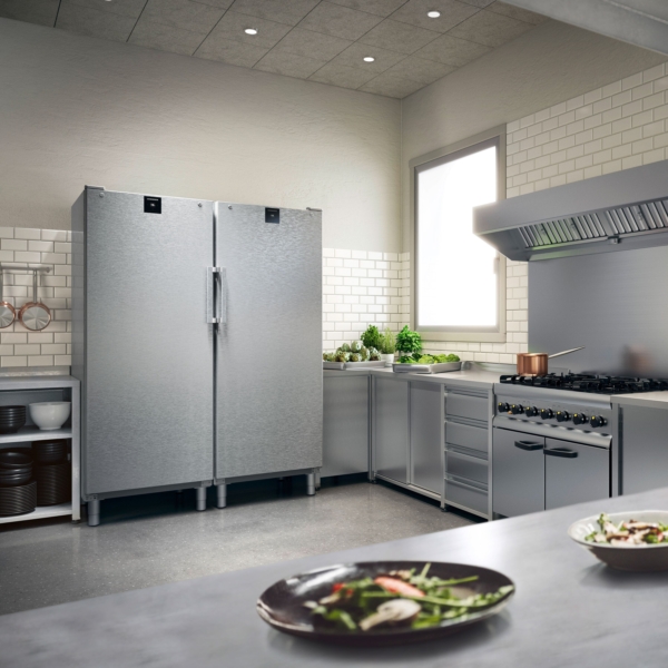 LIEBHERR | Réfrigérateur en acier inoxydable PERFECTION - 479 litres - GN 2/1 - Intérieur en plastique - avec 1 porte